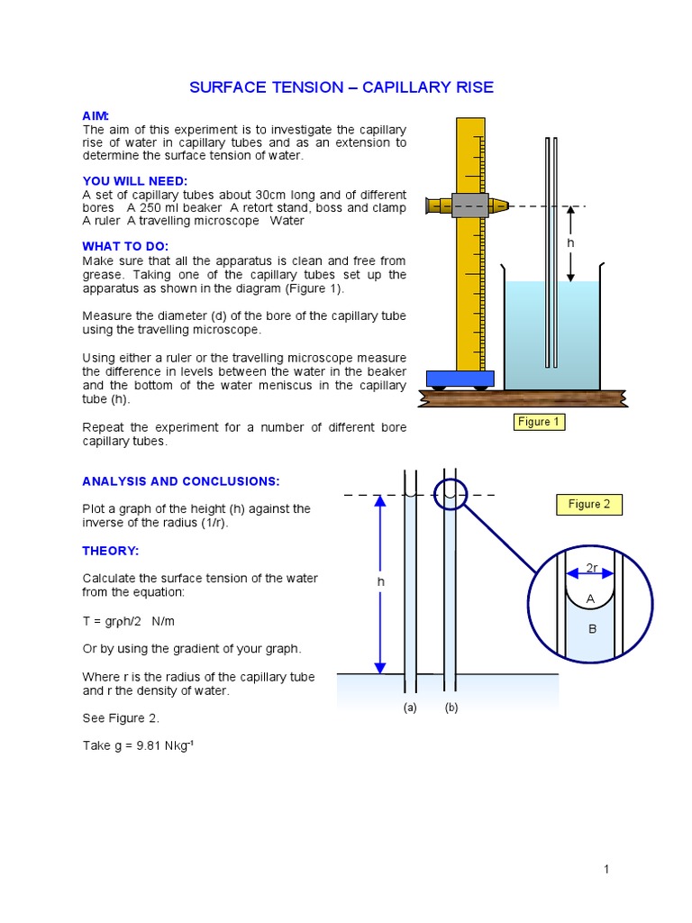 Surface Tension via Capillary Rise Method | PDF