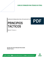 Documento Principios Tácticos PDF
