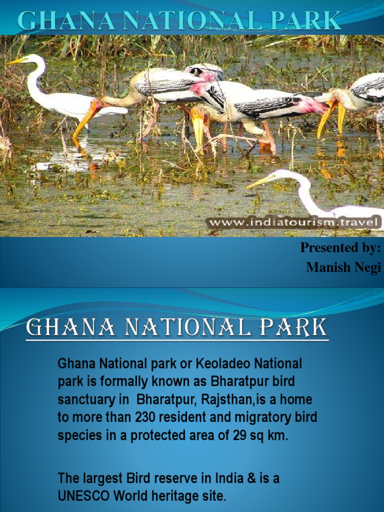 Ghana National Park | PDF | Birds | Nature, image size:768x1024