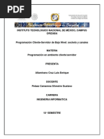 Programación Cliente Servidor de Bajo Nivel SOCKET