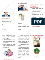 Leaflet Peb