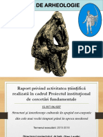 Raport Proiect Centrul Arheologie IPC 2015-2018