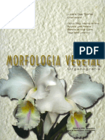 Livro - Morfologia Vegetal_Organografia.pdf