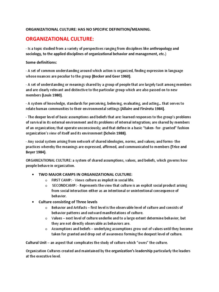 Understanding Organizational Culture Dynamics | PDF | Organizational ...