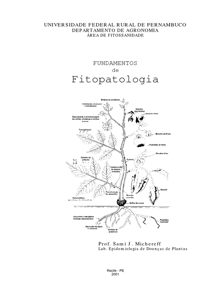 PDF) Supressividade a fitopatógenos habitantes do solo