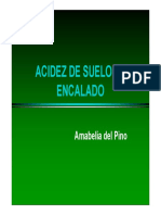 Acidez Encalado PDF