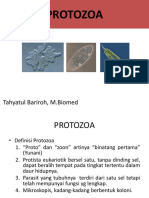 Protozoa 1