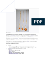 berimbau.docx