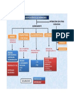 Fisio Endocrino 1 Diapositiva 6