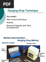 Hanging Drop Method for Microbial Motility | PDF | Applied And ...
