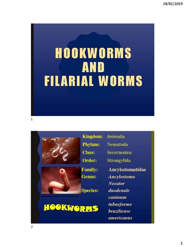 1bio 030 Lecture 4b Nematodes Hookworms Filarial Worms Pdf