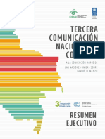 Resumen Ejecutivo TCNCC Colombia PDF