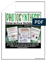 Photosynthesis Interactive Notebook