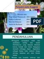 Hama Dan Penyakit Anggrek