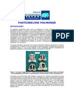 Pasteurelose Pulmonar