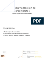 Digestón y Absorcion - Carbohidratos