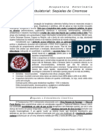 (apostila) ACUPUNTURA. Protocolo para cinomose.PDF