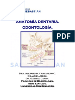 Cantarero - Guía de Anatomía Dentaria Odontológica.pdf