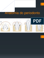 Anatomia Do Periodonto PDF