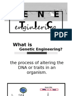 What is Genetic Engineering