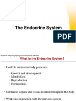 Endokrin All2014 PDF