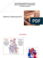 Sistema Cardiovascular 2