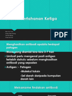 Barisan Pertahanan Ketiga