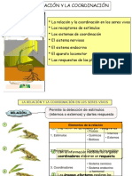 Tema 3 La Relacic3b3n y La Coordinacic3b3n 2