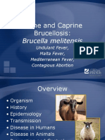 Brucellosis Bmelitensis