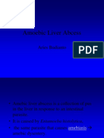 Amoebic Liver Abces DR - Aries