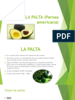 LA PALTA (Persea Americana)