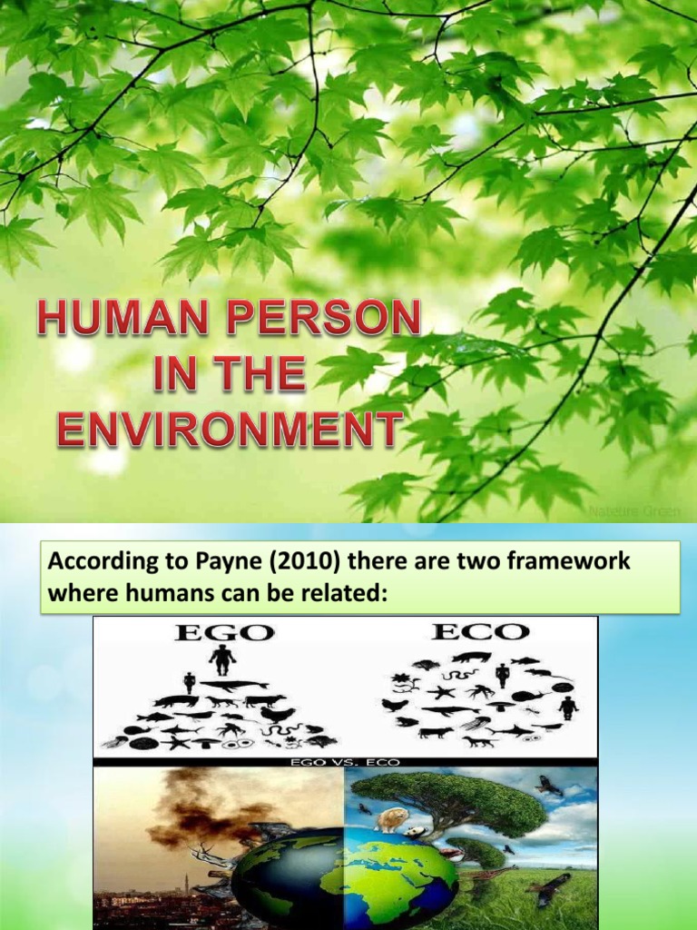 the human person in the environment essay 300 words