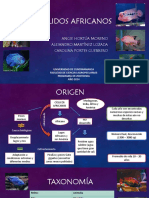 Cíclidos africanos: orígenes, características y especies representativas