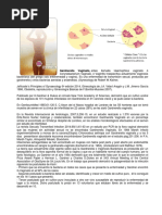 Bacilos de Döderlein: Prevención de Vaginitis | PDF | Antibióticos | Vagina