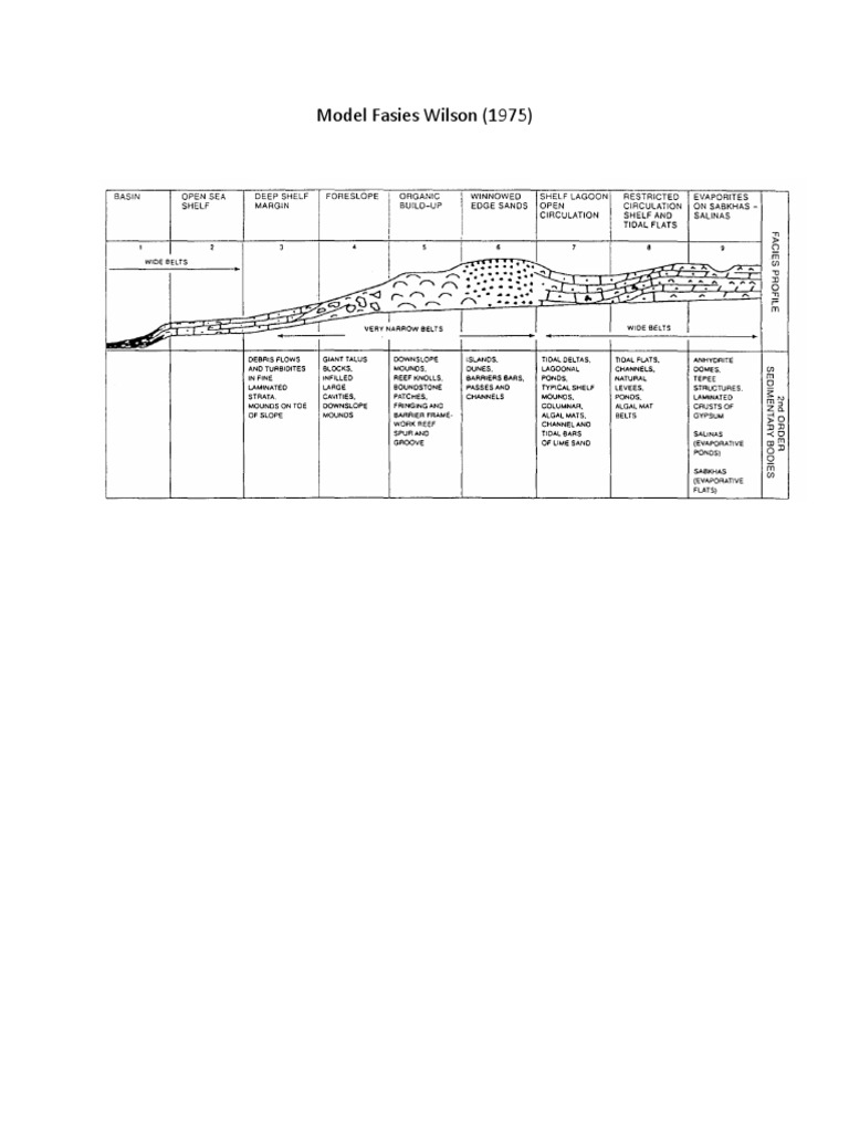 Model Fasies Wilson | PDF