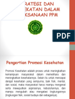 Strategi Dan Pendekatan Dalam Pelaksanaan PPM