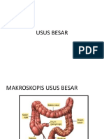 M. Amhar Jamil - Usus Besar Dan Hormon Gi