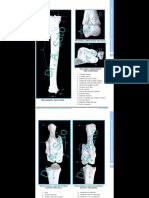 carpianos de alpaca.pdf