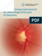 ICOGlaucomaGuidelines-Spanish (1).pdf