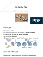 AUTOFAGIA.pdf