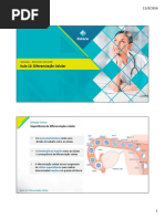 Aula 12 - Diferenciação Celular