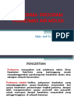 Materi Program Puskesmas