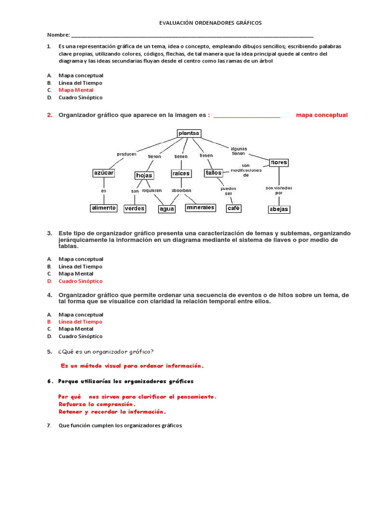 Evaluacion Ordenadores Graficos Infografia Ciencias De La