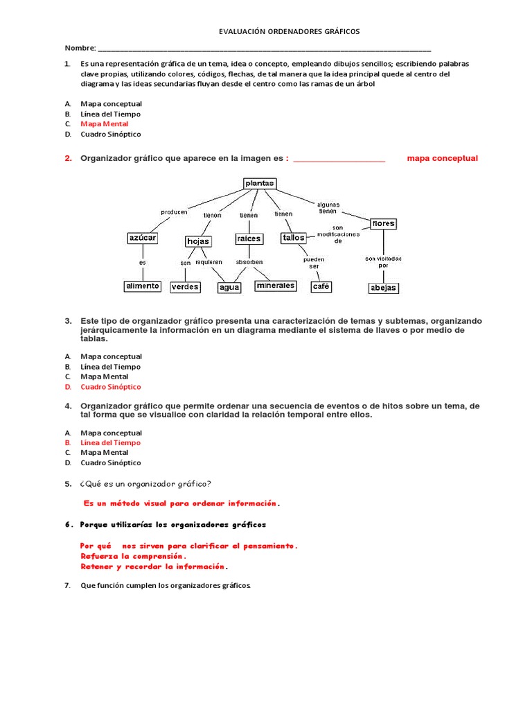 Evaluacion Ordenadores Graficos Infografia Ciencias De La