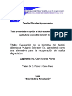 TESIS COMPLETA de Otani PDF