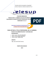 Plan de Negocio Frutamarumayo Sac - Verdadero 00222 PDF