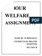 LW Assignment-Zuber Khan