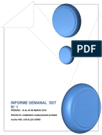 Informe Mensual SST Mes de Marzo Alferez