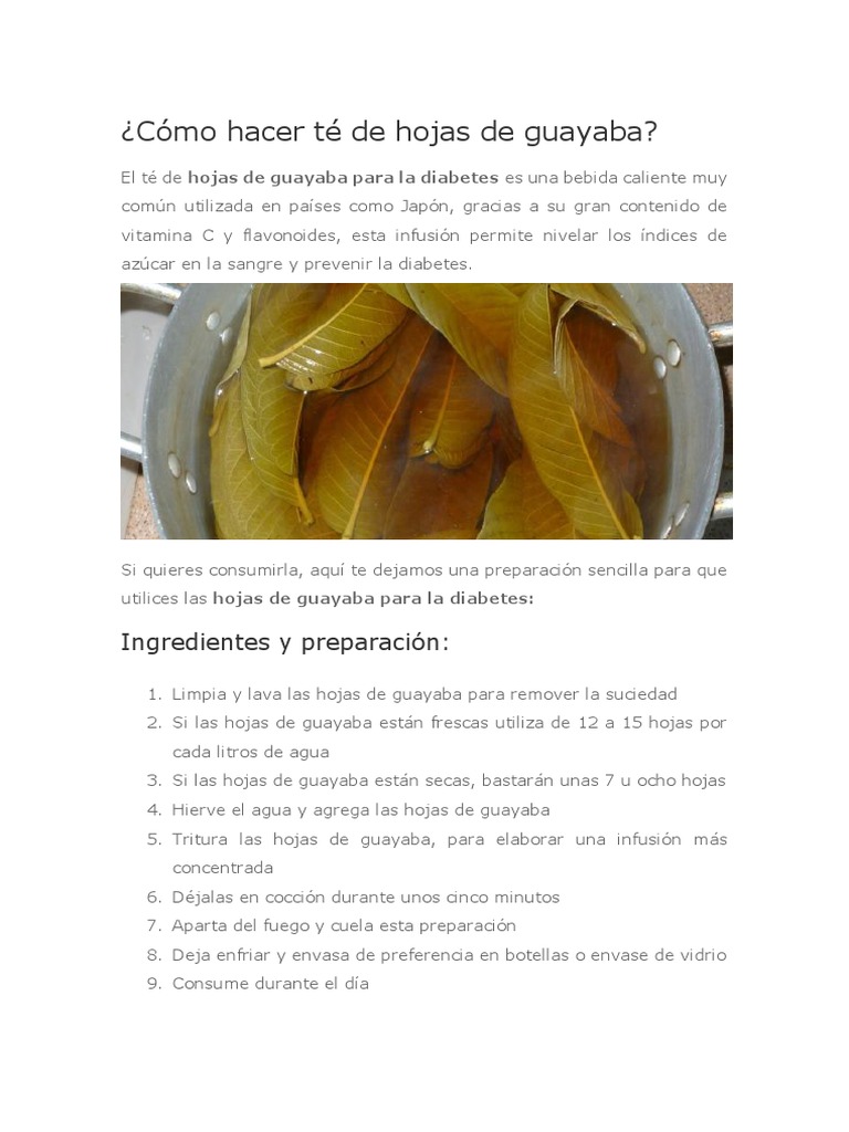 Té de hojas de guayaba para diabetes | PDF | Diabetes | Té
