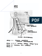 Disekcije Vratu
